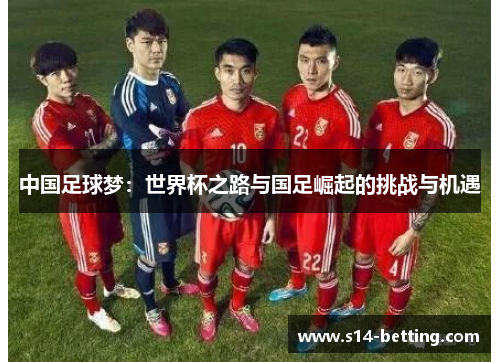 中国足球梦：世界杯之路与国足崛起的挑战与机遇