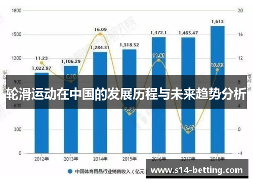 轮滑运动在中国的发展历程与未来趋势分析